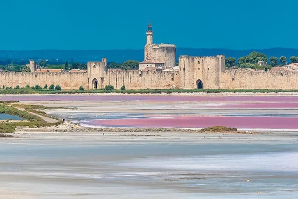 Maison A 800M Des Remparts Эг-Морт Экстерьер фото